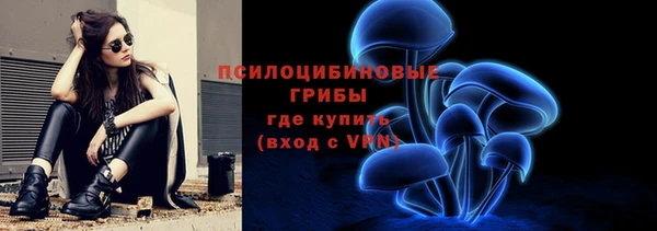 сатива Волосово