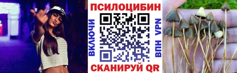 Купить  Переславль-Залесский  Галлюциногенные грибы ЛСД 
